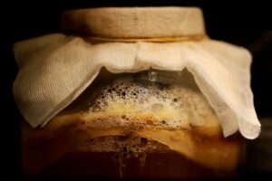 aliments fermentés