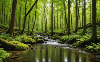 Équilibre naturel, Préservation biodiversité, Résilience écologique, Protection écosystèmes