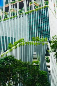 Transition écologique entreprise