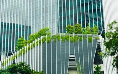 Transition écologique entreprise