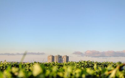 Développement durable