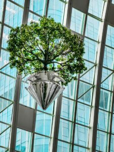 Transition écologique entreprise